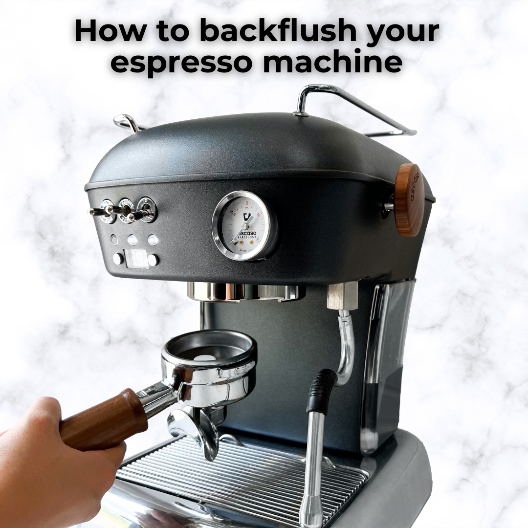 How to Backflush your Ascaso Home Espresso Machine Two2Brew